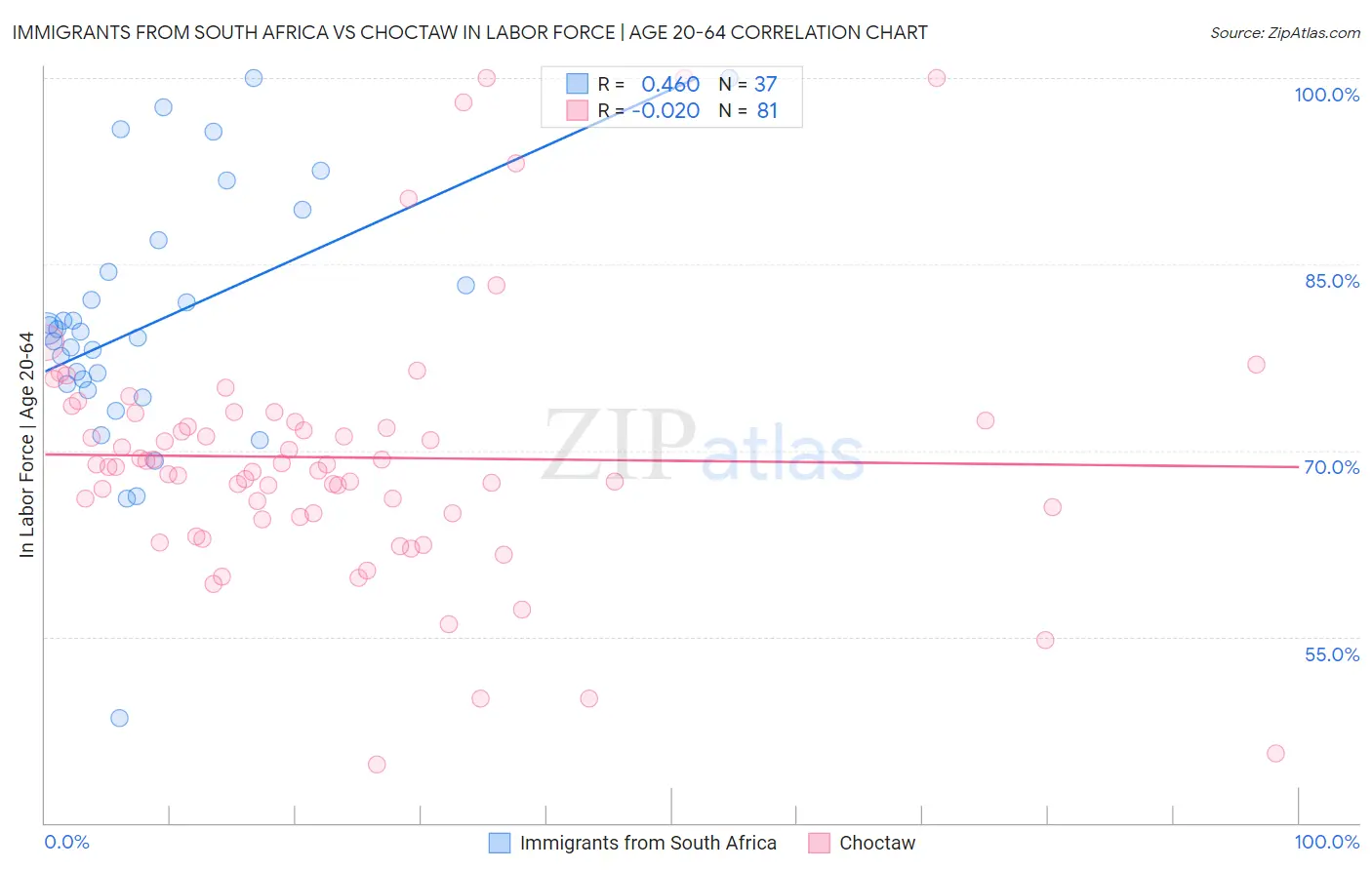 Immigrants from South Africa vs Choctaw In Labor Force | Age 20-64