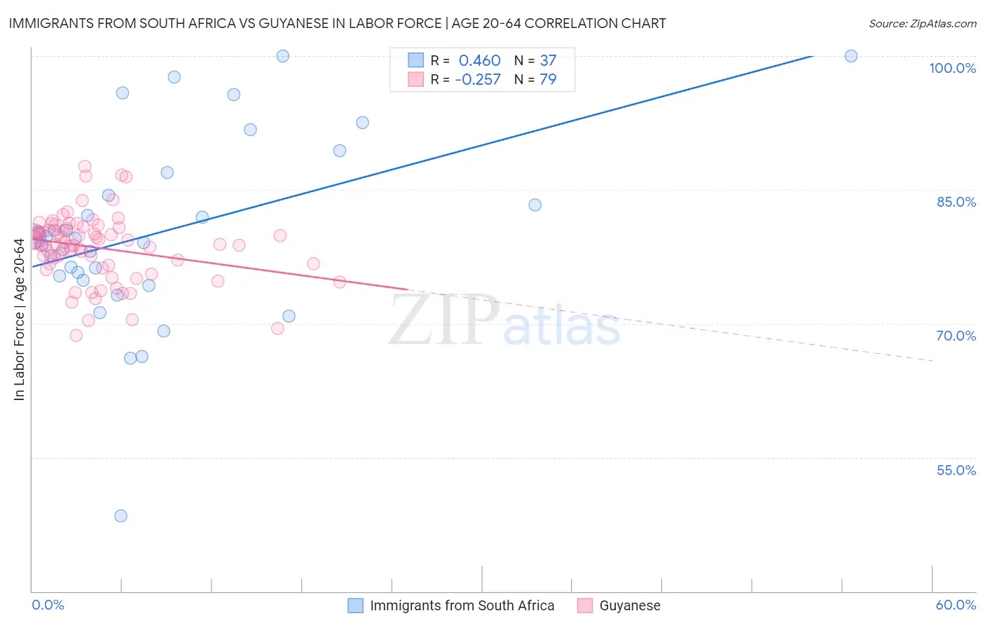 Immigrants from South Africa vs Guyanese In Labor Force | Age 20-64