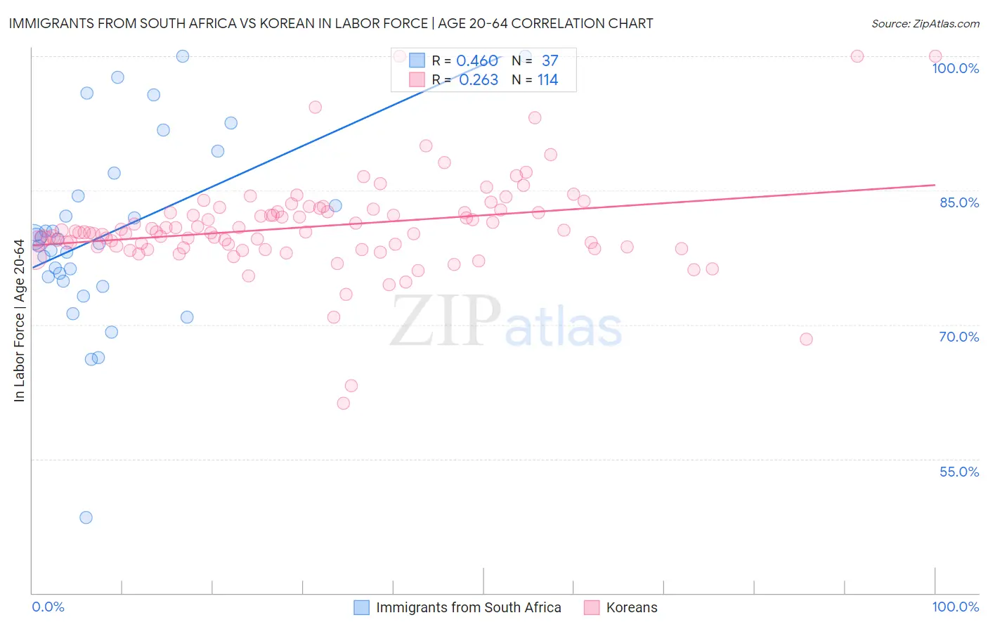 Immigrants from South Africa vs Korean In Labor Force | Age 20-64