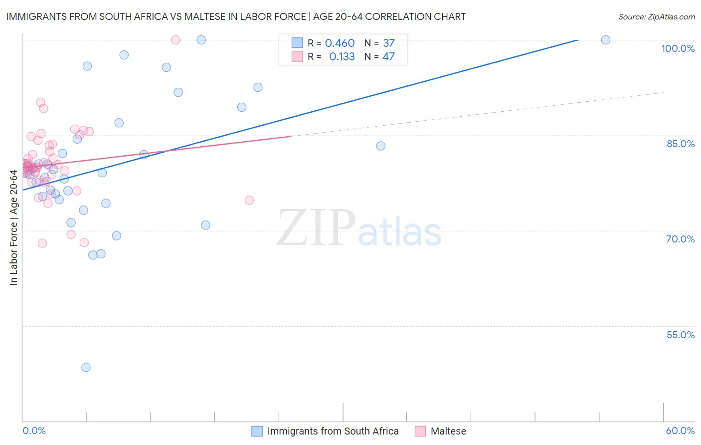 Immigrants from South Africa vs Maltese In Labor Force | Age 20-64