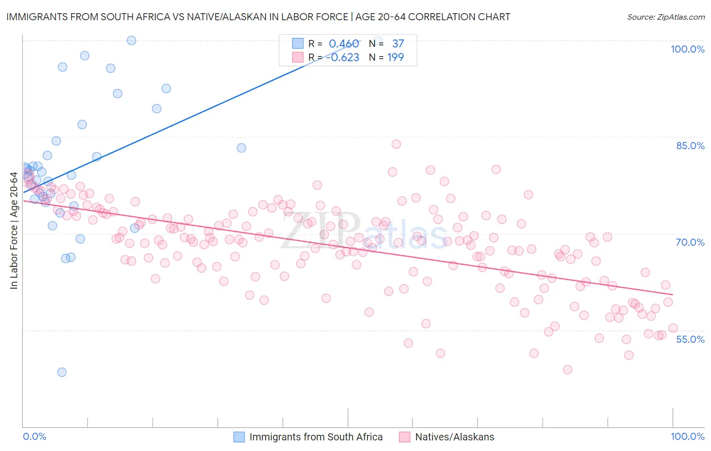 Immigrants from South Africa vs Native/Alaskan In Labor Force | Age 20-64