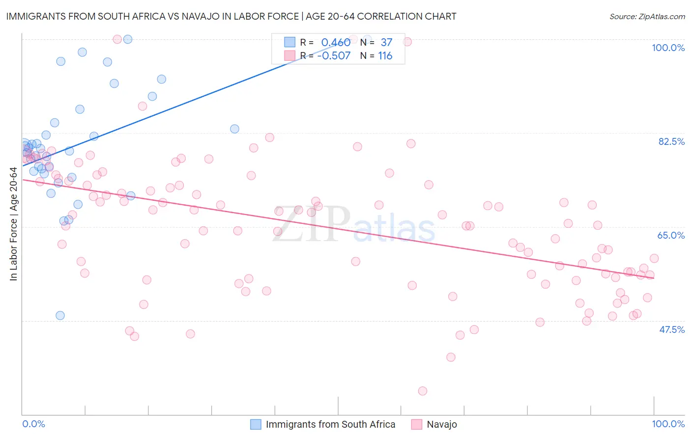 Immigrants from South Africa vs Navajo In Labor Force | Age 20-64