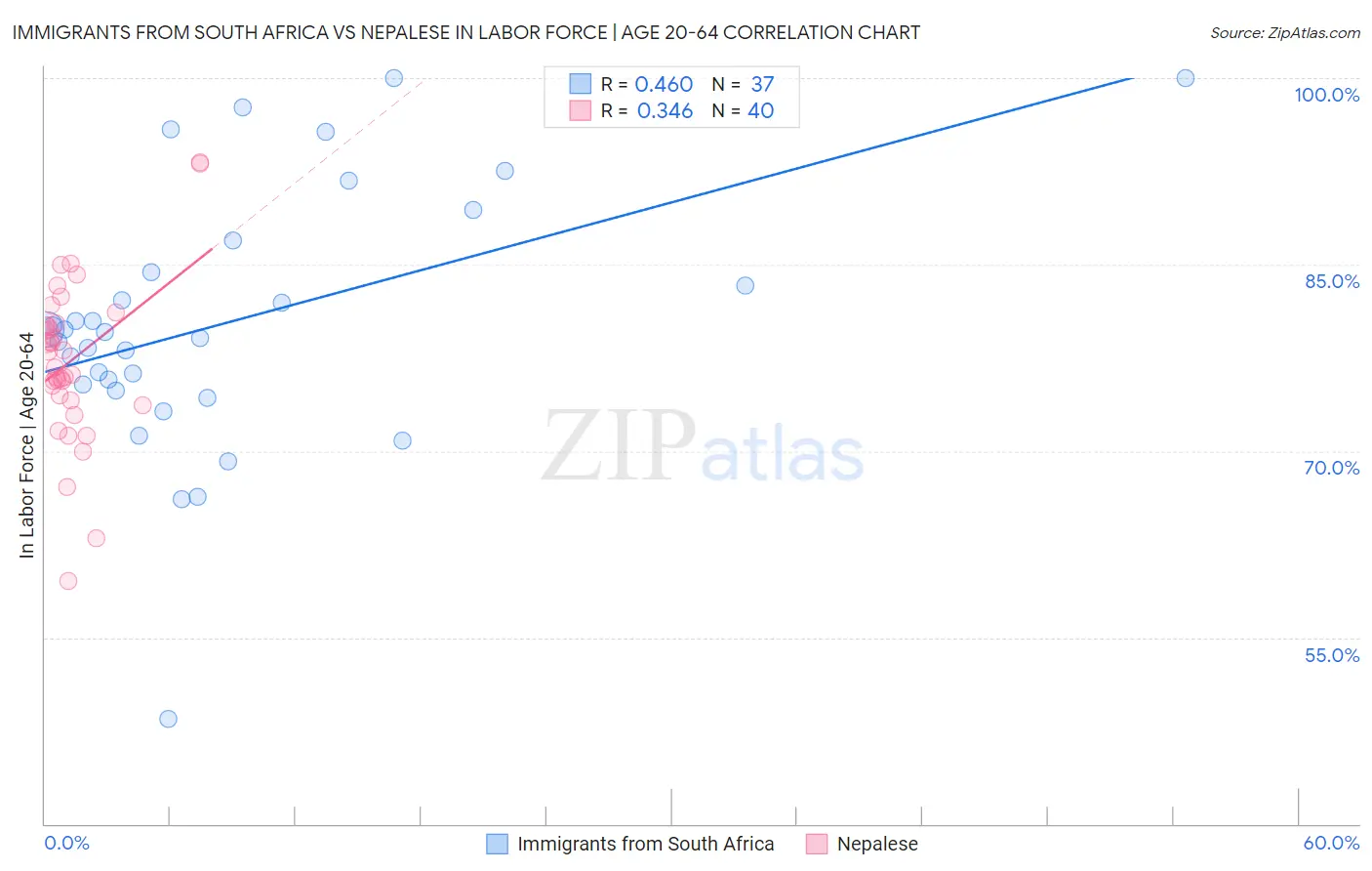 Immigrants from South Africa vs Nepalese In Labor Force | Age 20-64