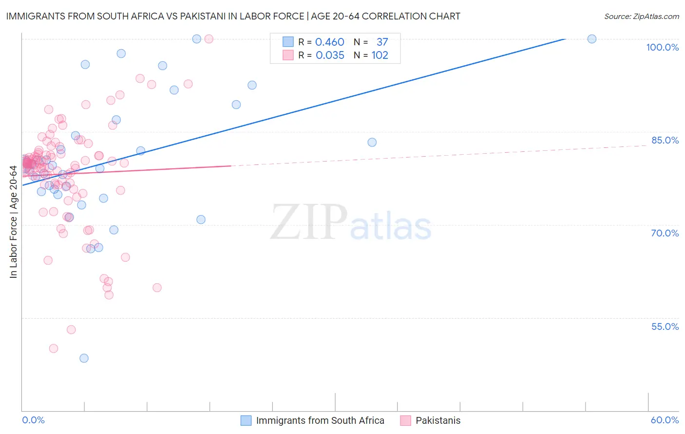 Immigrants from South Africa vs Pakistani In Labor Force | Age 20-64