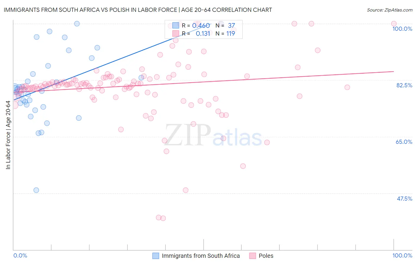 Immigrants from South Africa vs Polish In Labor Force | Age 20-64
