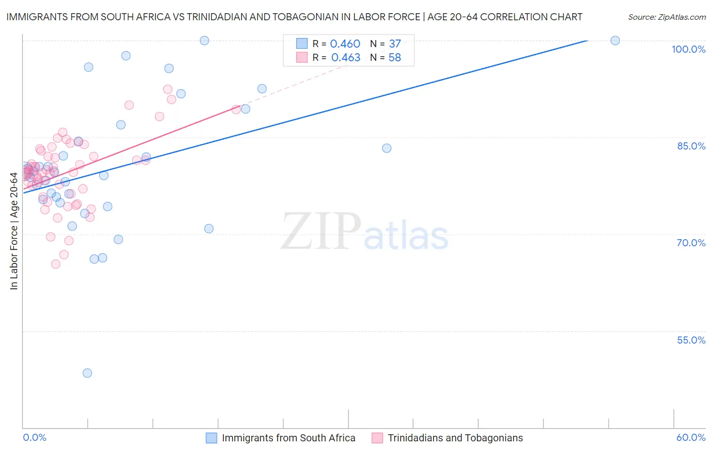Immigrants from South Africa vs Trinidadian and Tobagonian In Labor Force | Age 20-64