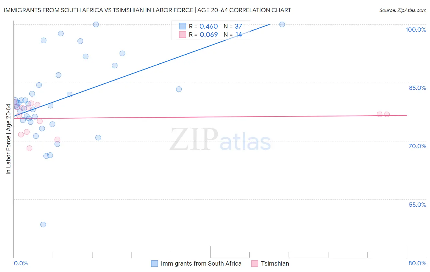 Immigrants from South Africa vs Tsimshian In Labor Force | Age 20-64