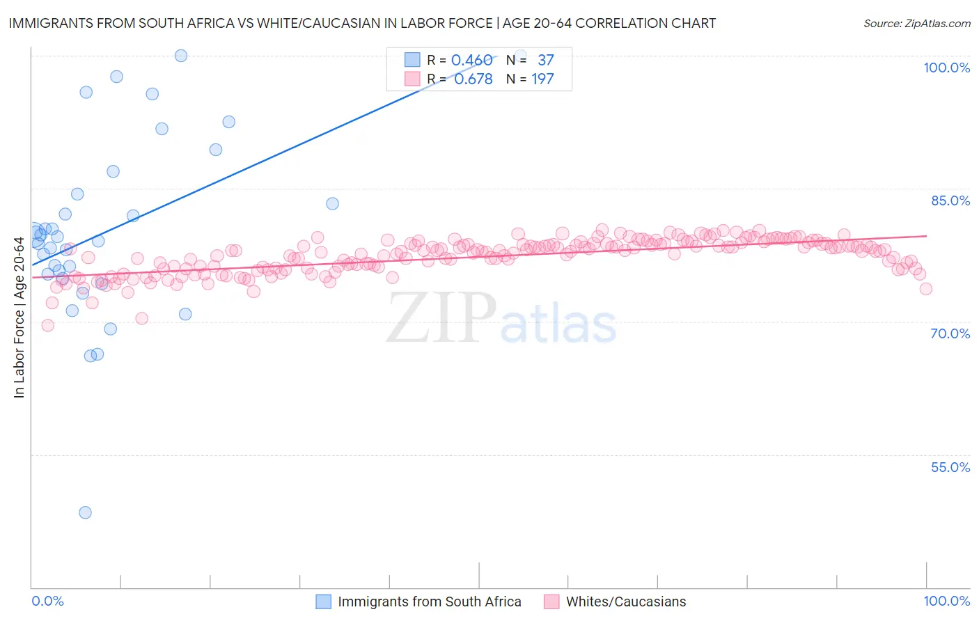 Immigrants from South Africa vs White/Caucasian In Labor Force | Age 20-64