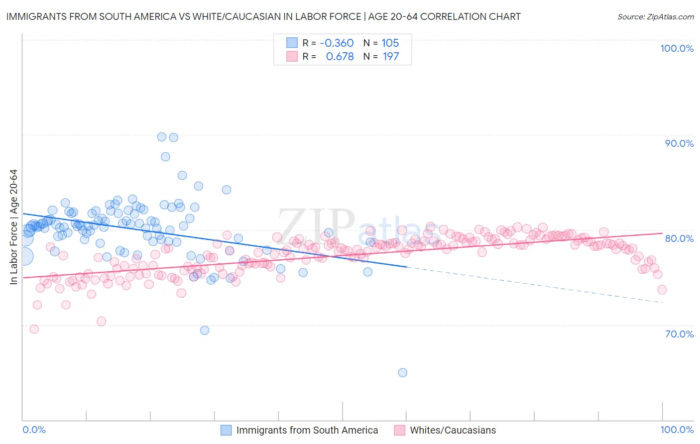 Immigrants from South America vs White/Caucasian In Labor Force | Age 20-64