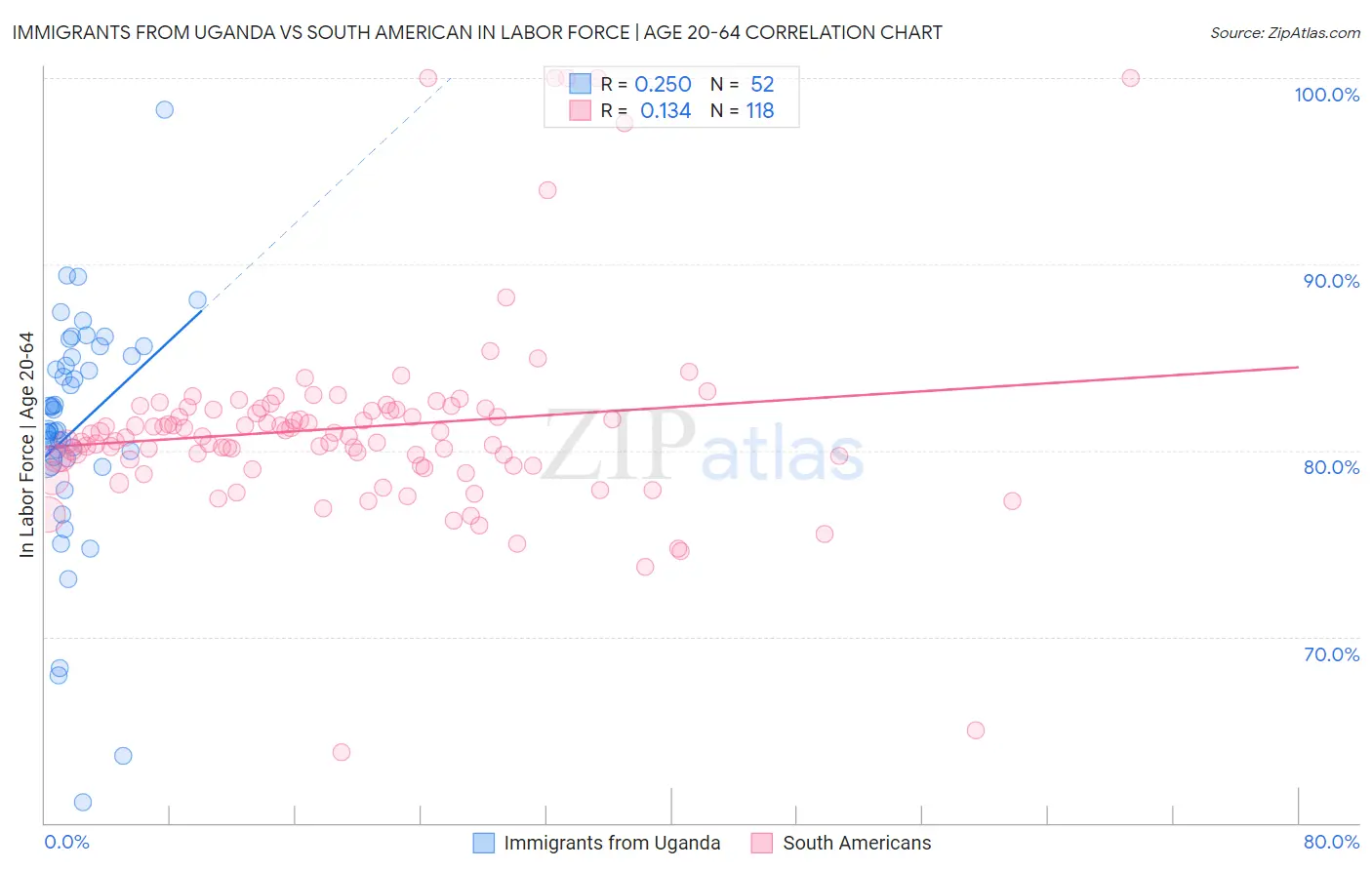 Immigrants from Uganda vs South American In Labor Force | Age 20-64