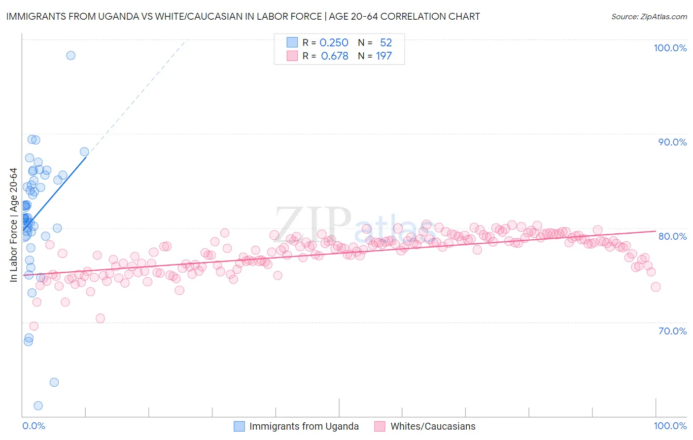 Immigrants from Uganda vs White/Caucasian In Labor Force | Age 20-64