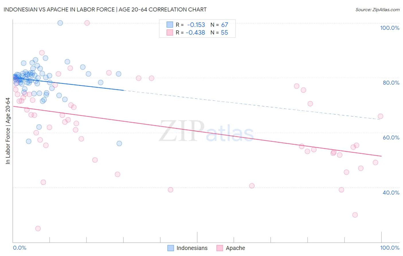 Indonesian vs Apache In Labor Force | Age 20-64