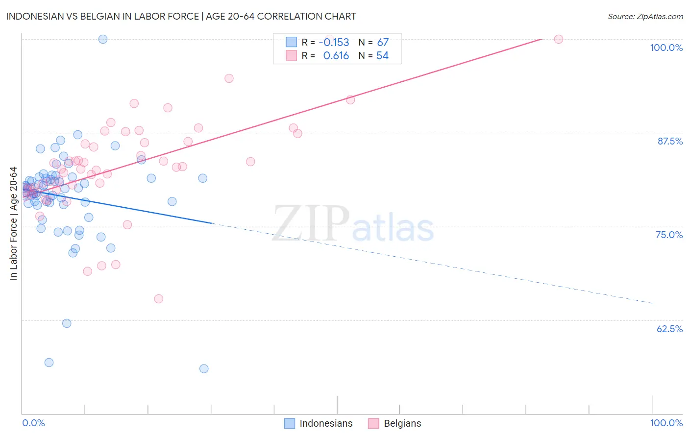 Indonesian vs Belgian In Labor Force | Age 20-64