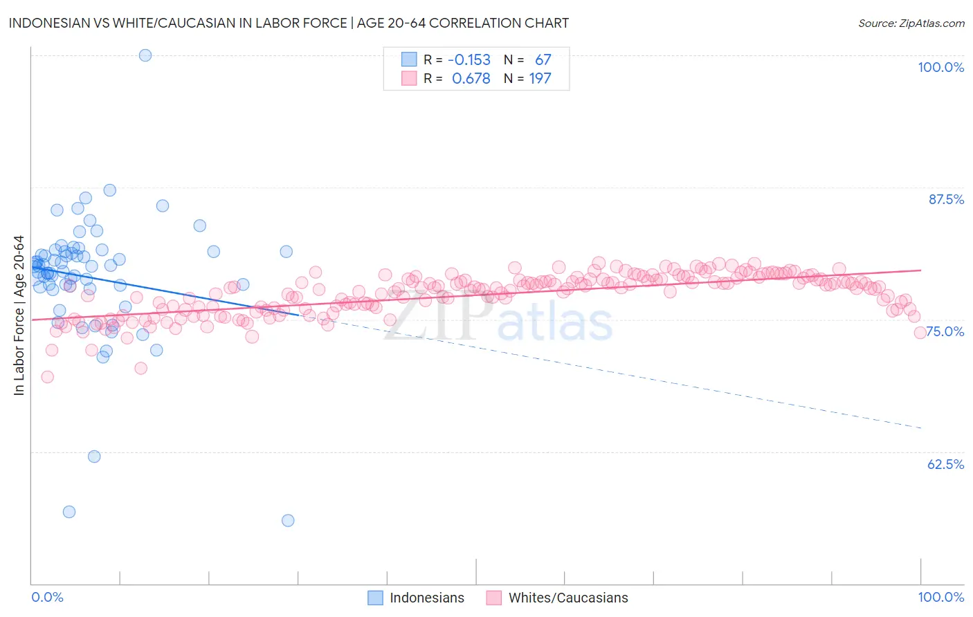 Indonesian vs White/Caucasian In Labor Force | Age 20-64