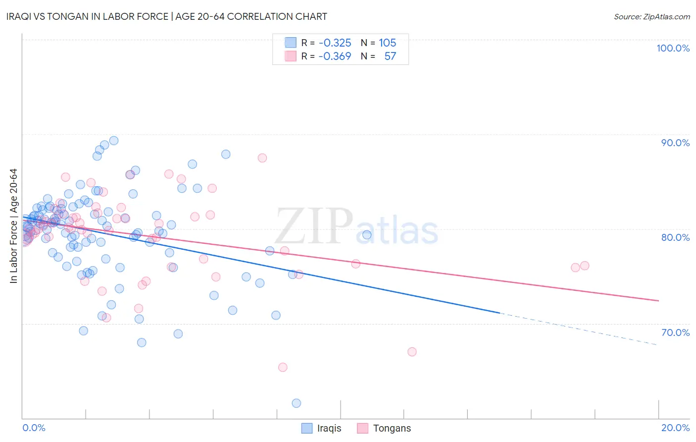 Iraqi vs Tongan In Labor Force | Age 20-64