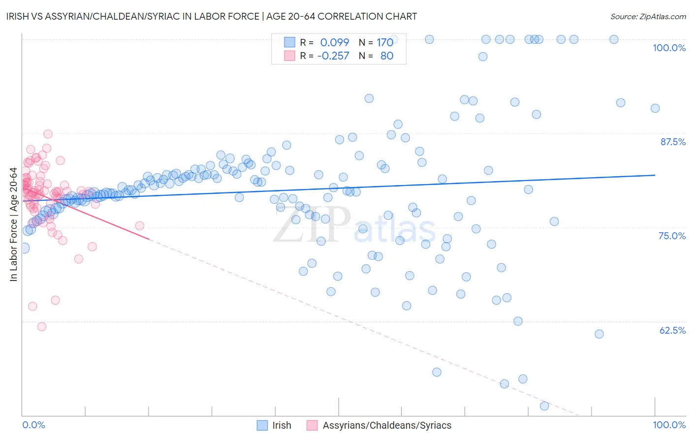 Irish vs Assyrian/Chaldean/Syriac In Labor Force | Age 20-64