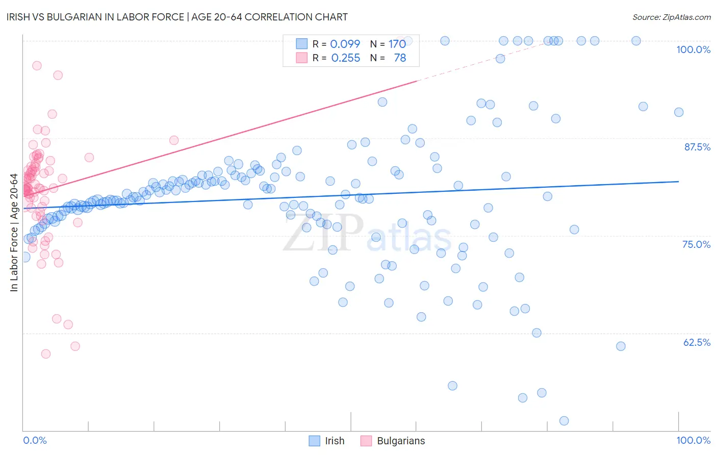 Irish vs Bulgarian In Labor Force | Age 20-64