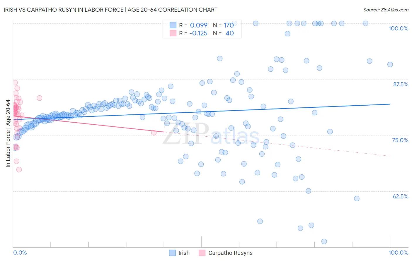 Irish vs Carpatho Rusyn In Labor Force | Age 20-64