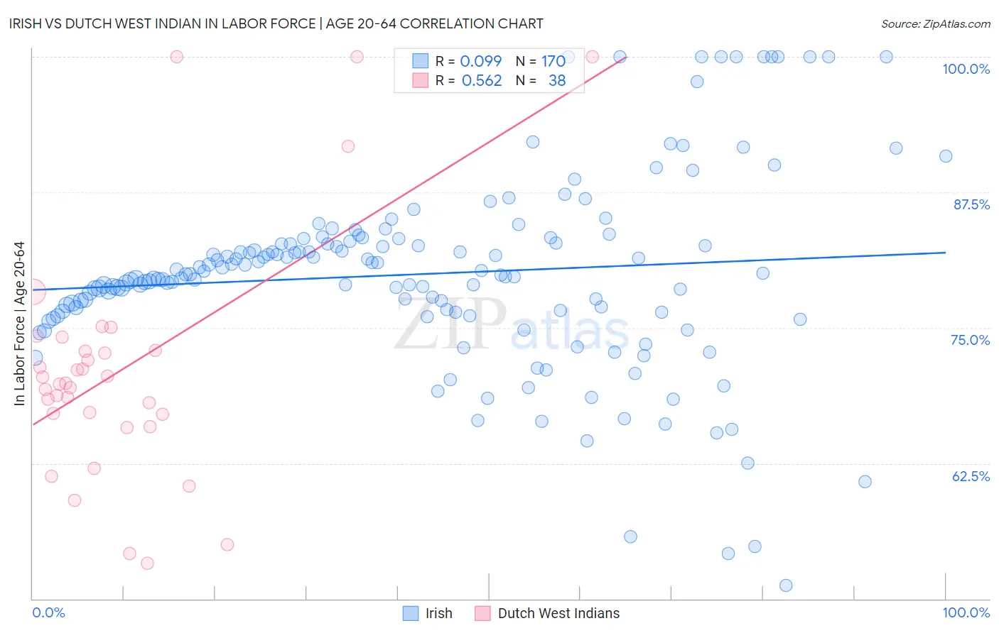 Irish vs Dutch West Indian In Labor Force | Age 20-64