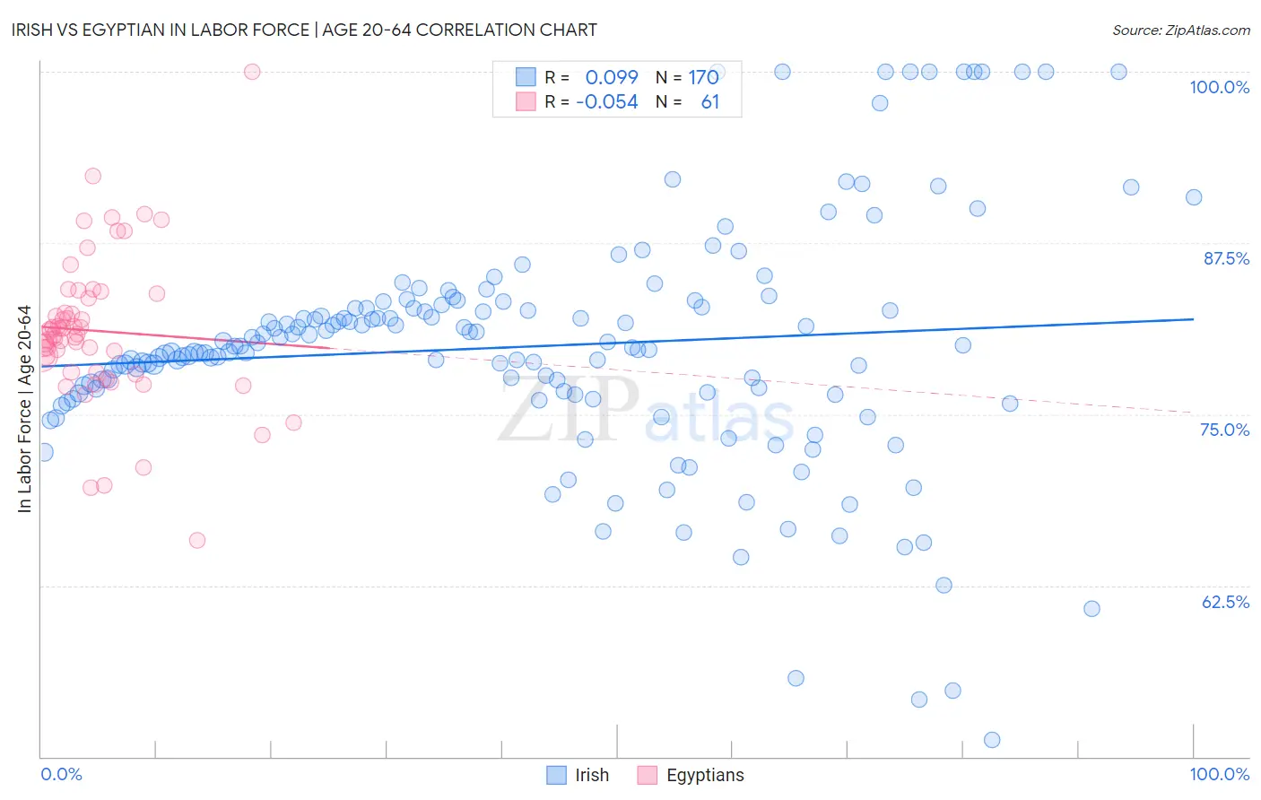 Irish vs Egyptian In Labor Force | Age 20-64