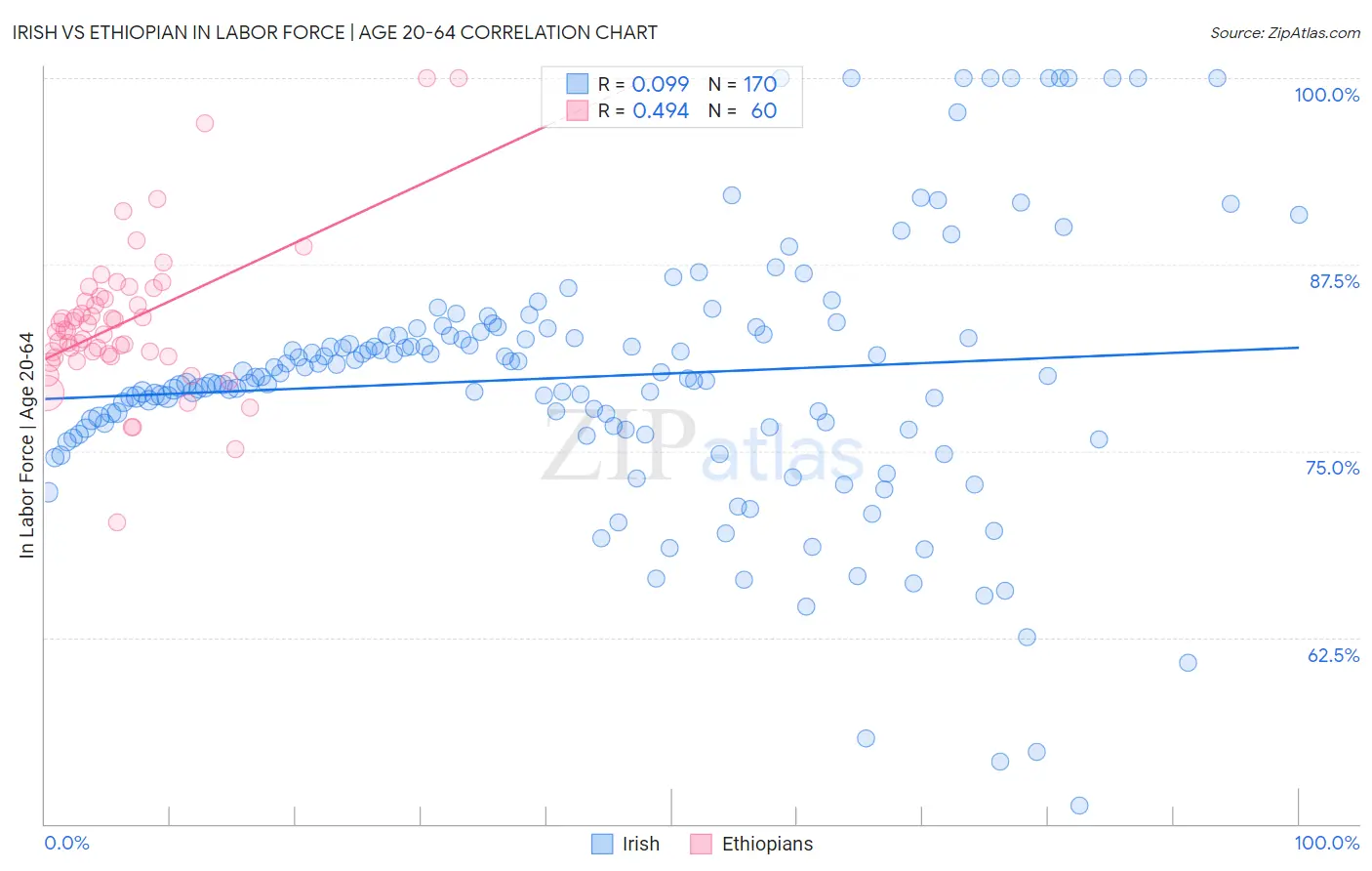 Irish vs Ethiopian In Labor Force | Age 20-64