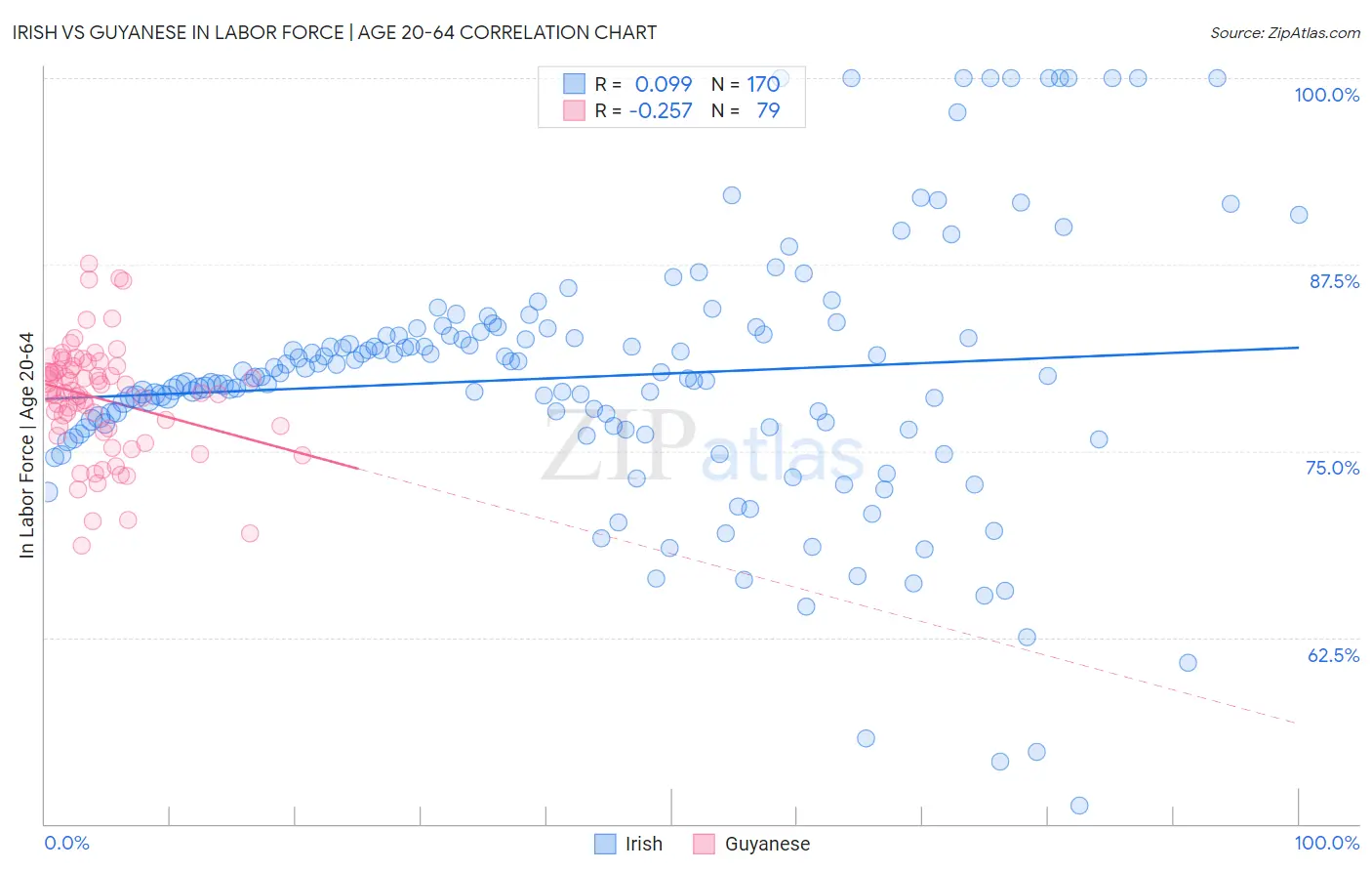 Irish vs Guyanese In Labor Force | Age 20-64