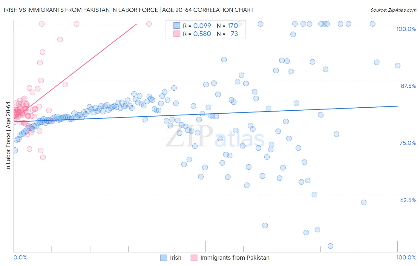 Irish vs Immigrants from Pakistan In Labor Force | Age 20-64