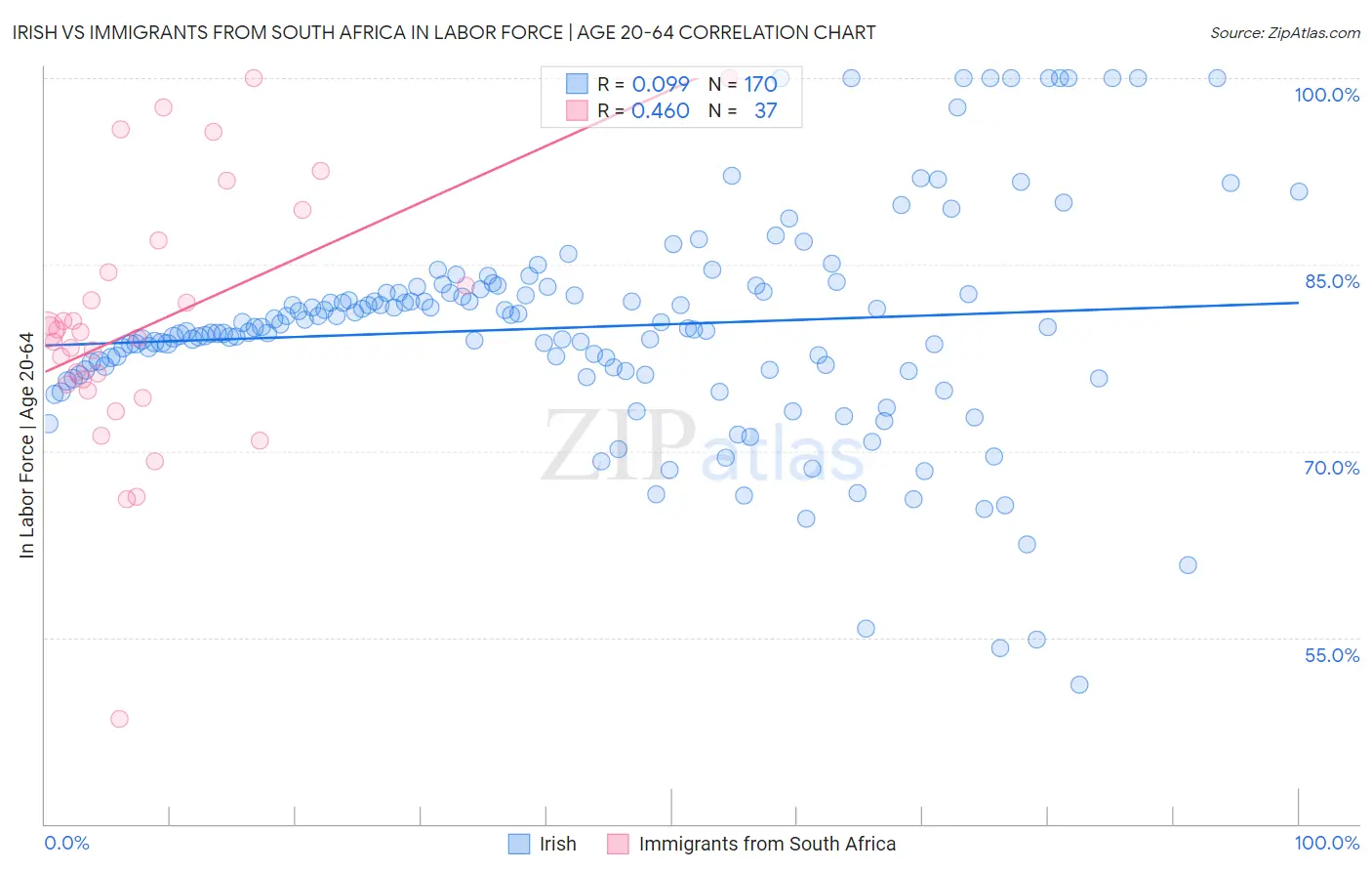 Irish vs Immigrants from South Africa In Labor Force | Age 20-64