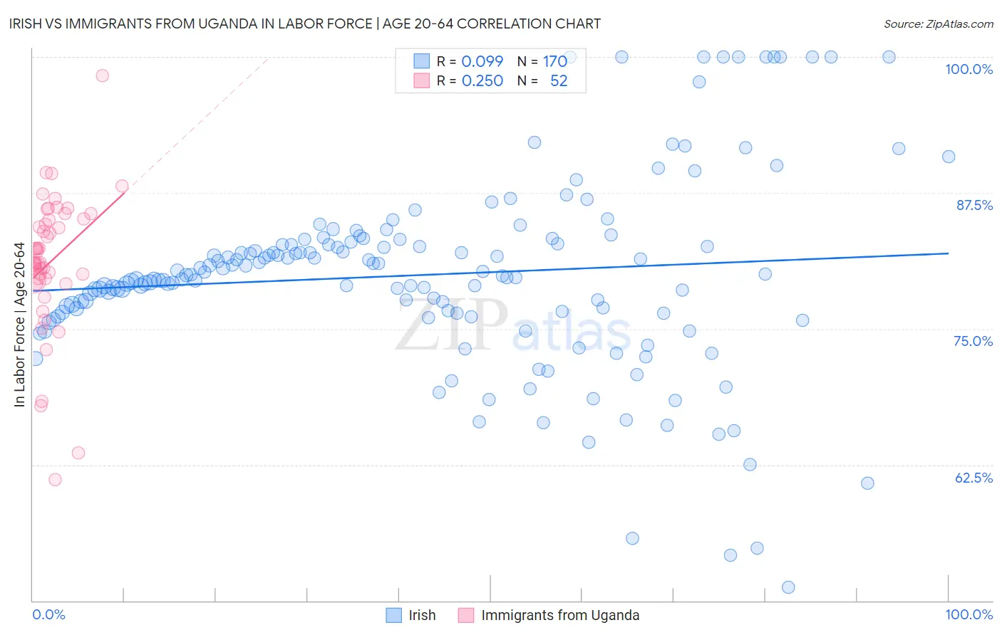 Irish vs Immigrants from Uganda In Labor Force | Age 20-64