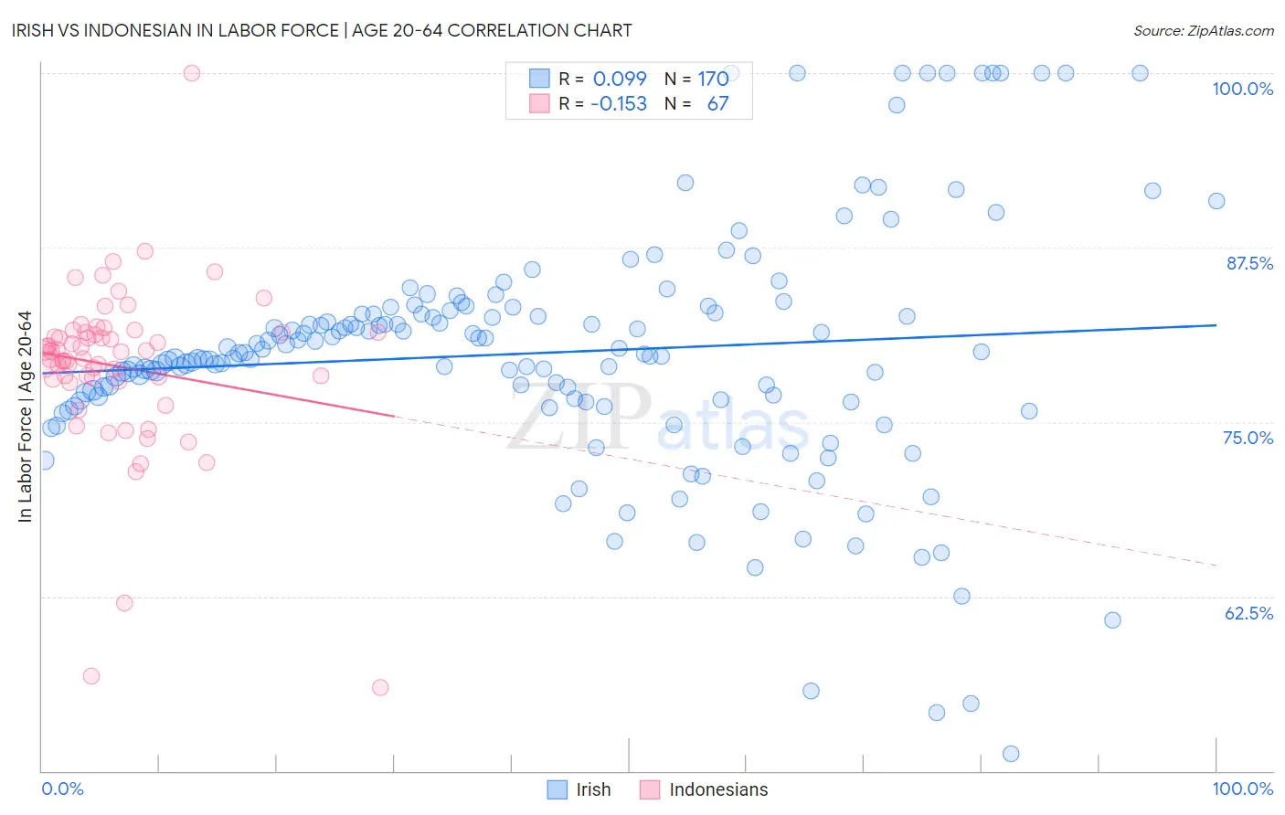 Irish vs Indonesian In Labor Force | Age 20-64