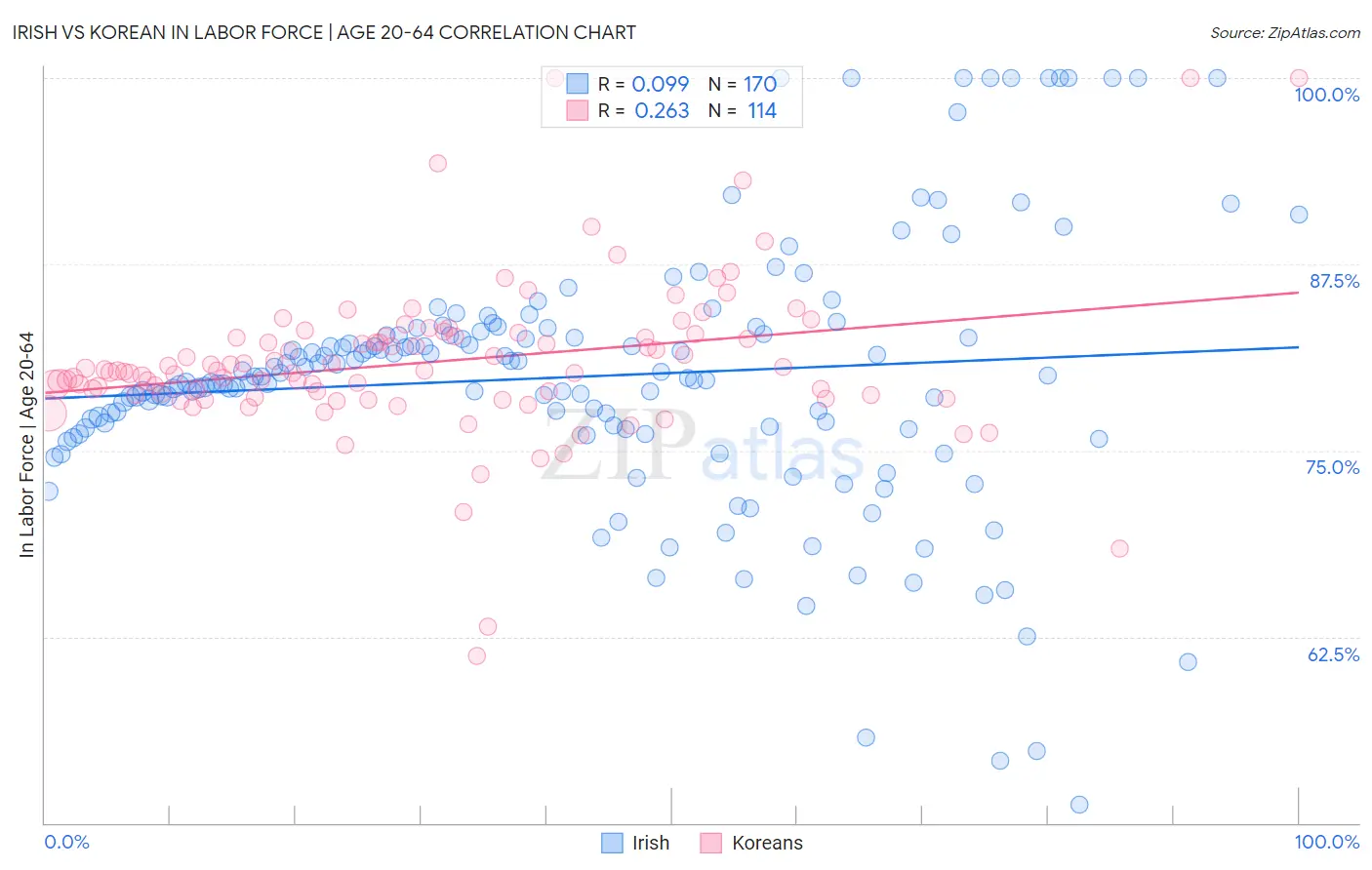 Irish vs Korean In Labor Force | Age 20-64