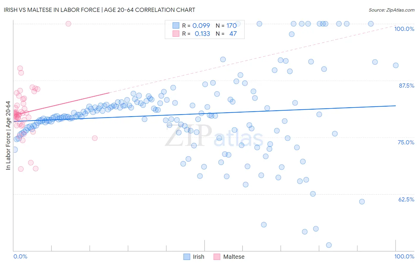 Irish vs Maltese In Labor Force | Age 20-64