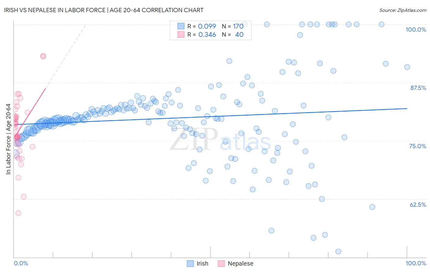 Irish vs Nepalese In Labor Force | Age 20-64