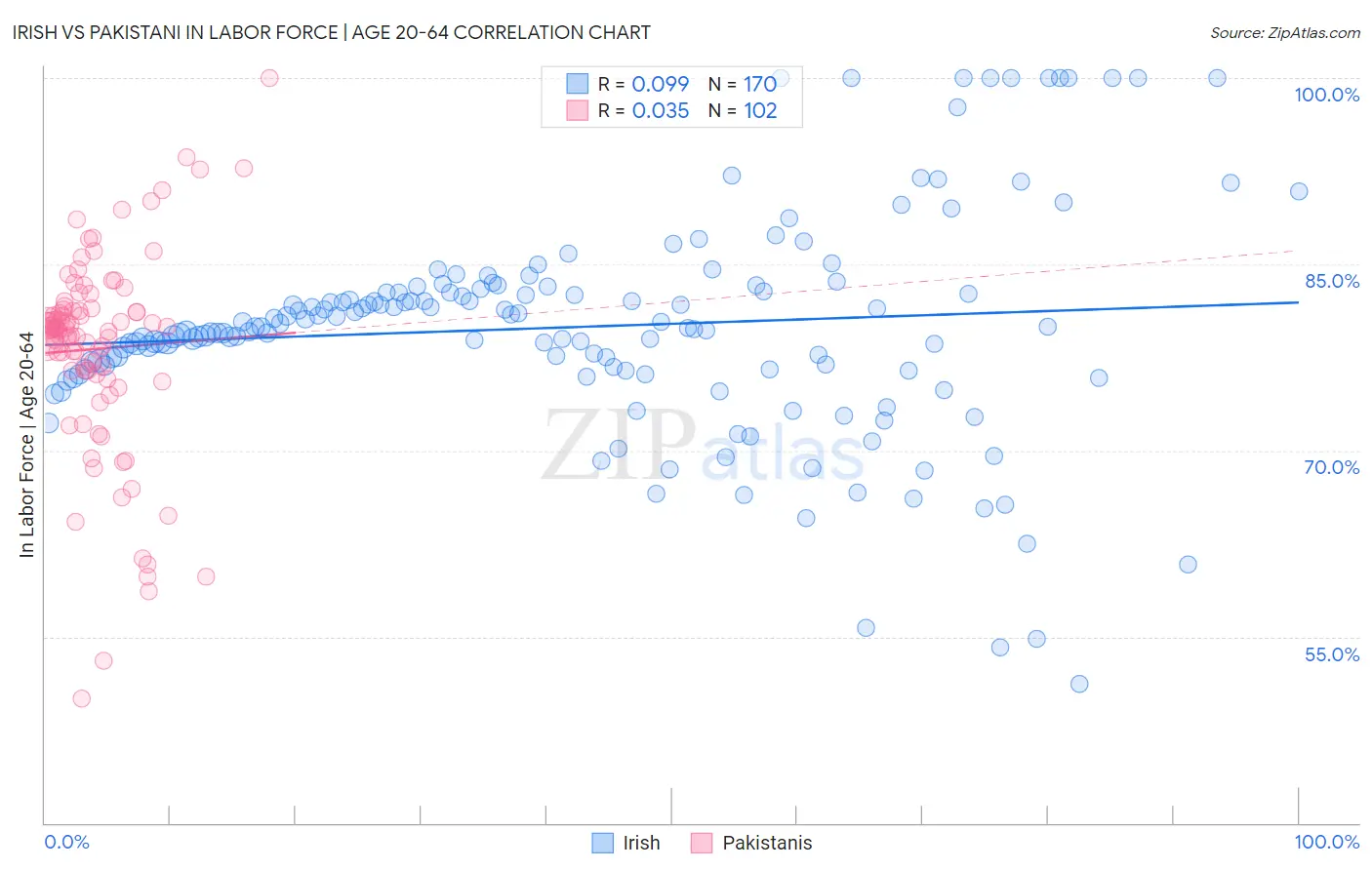 Irish vs Pakistani In Labor Force | Age 20-64