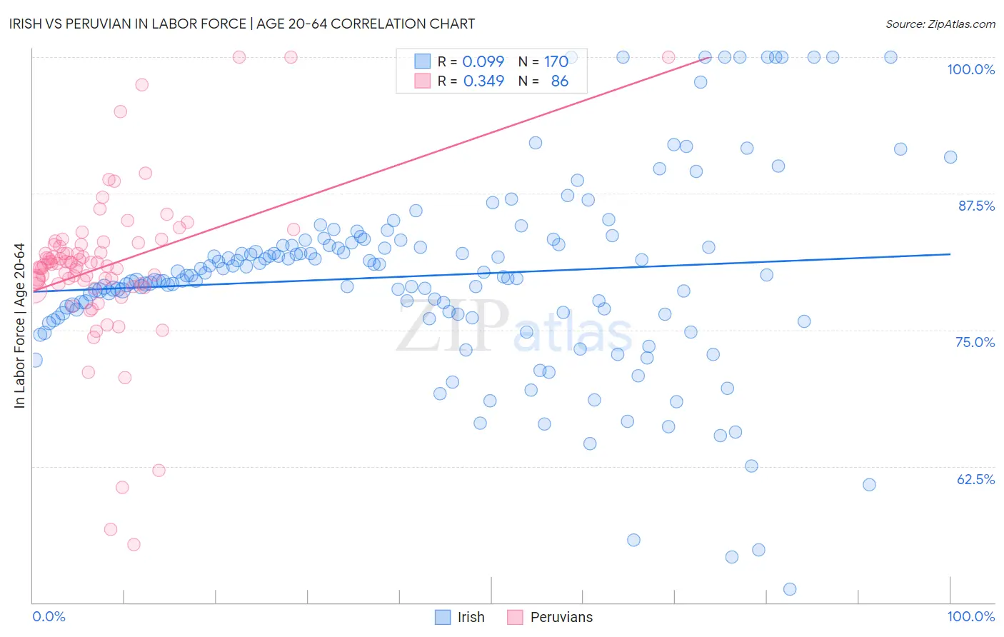 Irish vs Peruvian In Labor Force | Age 20-64