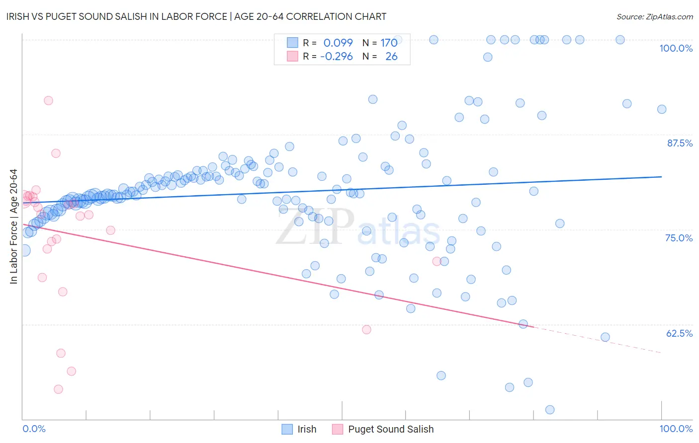 Irish vs Puget Sound Salish In Labor Force | Age 20-64