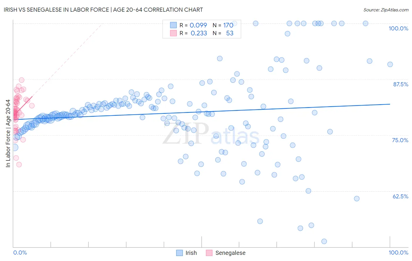 Irish vs Senegalese In Labor Force | Age 20-64