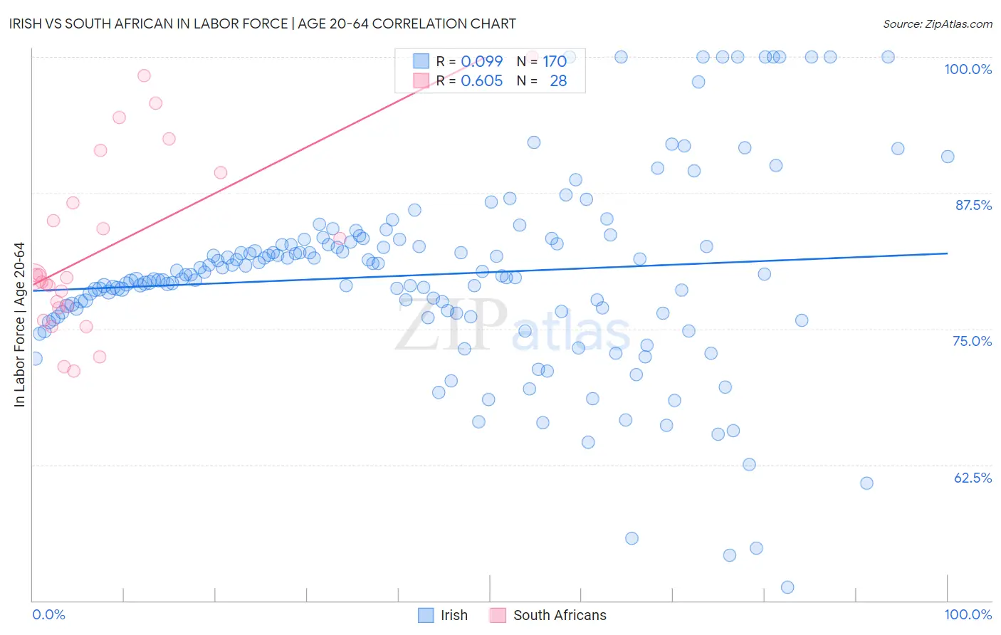 Irish vs South African In Labor Force | Age 20-64