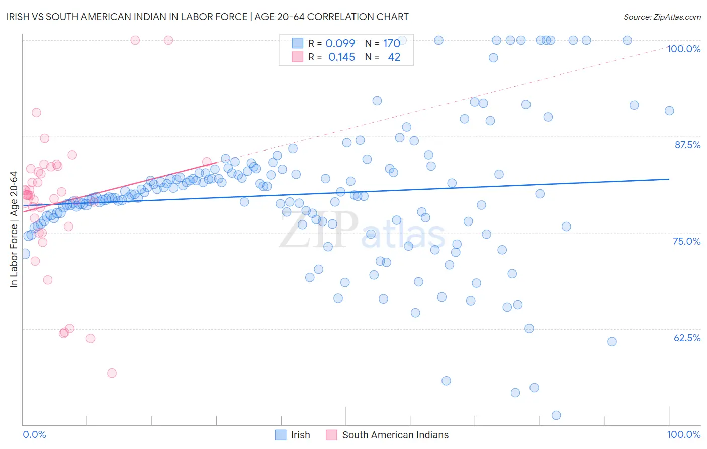 Irish vs South American Indian In Labor Force | Age 20-64