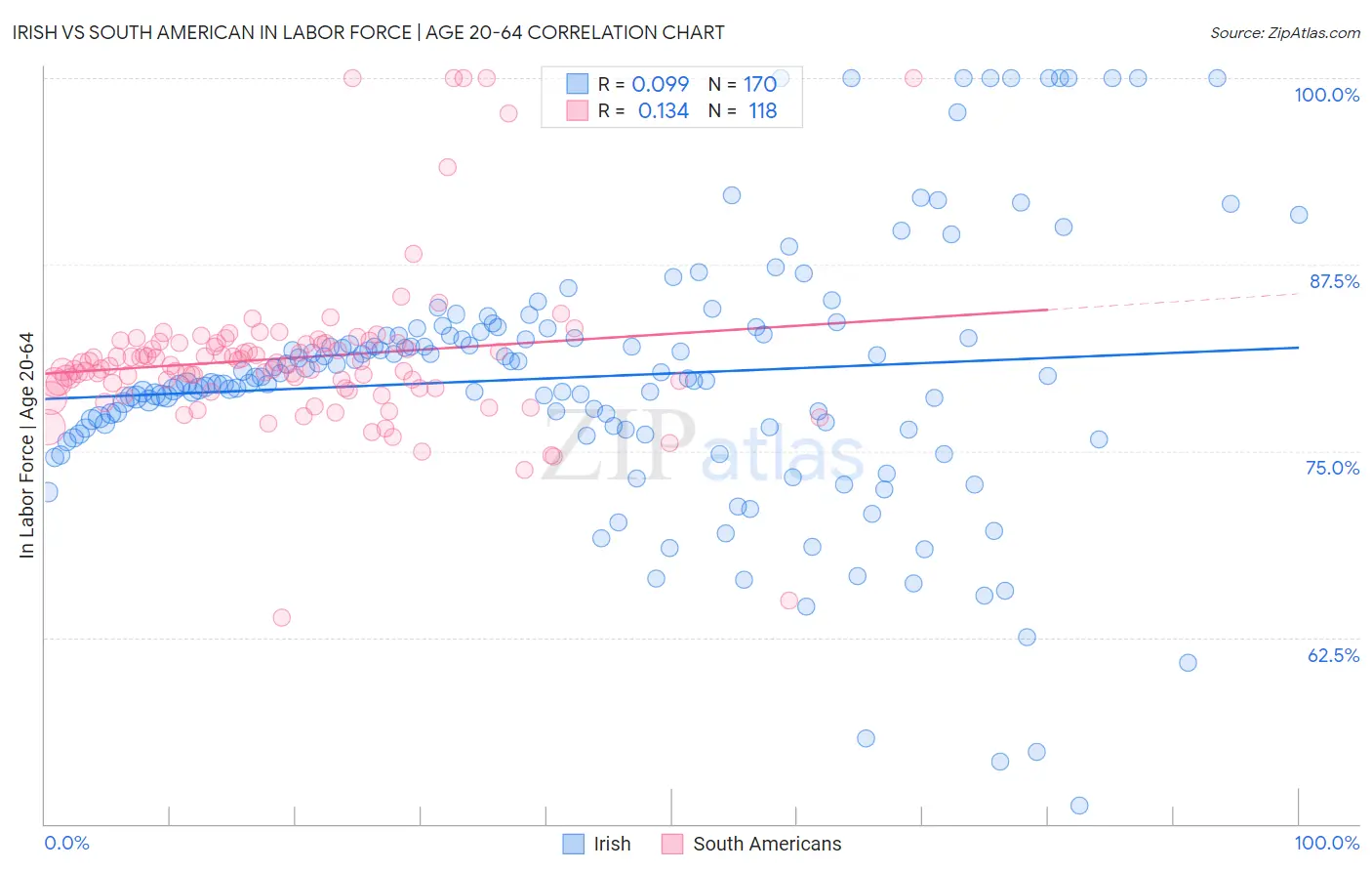 Irish vs South American In Labor Force | Age 20-64