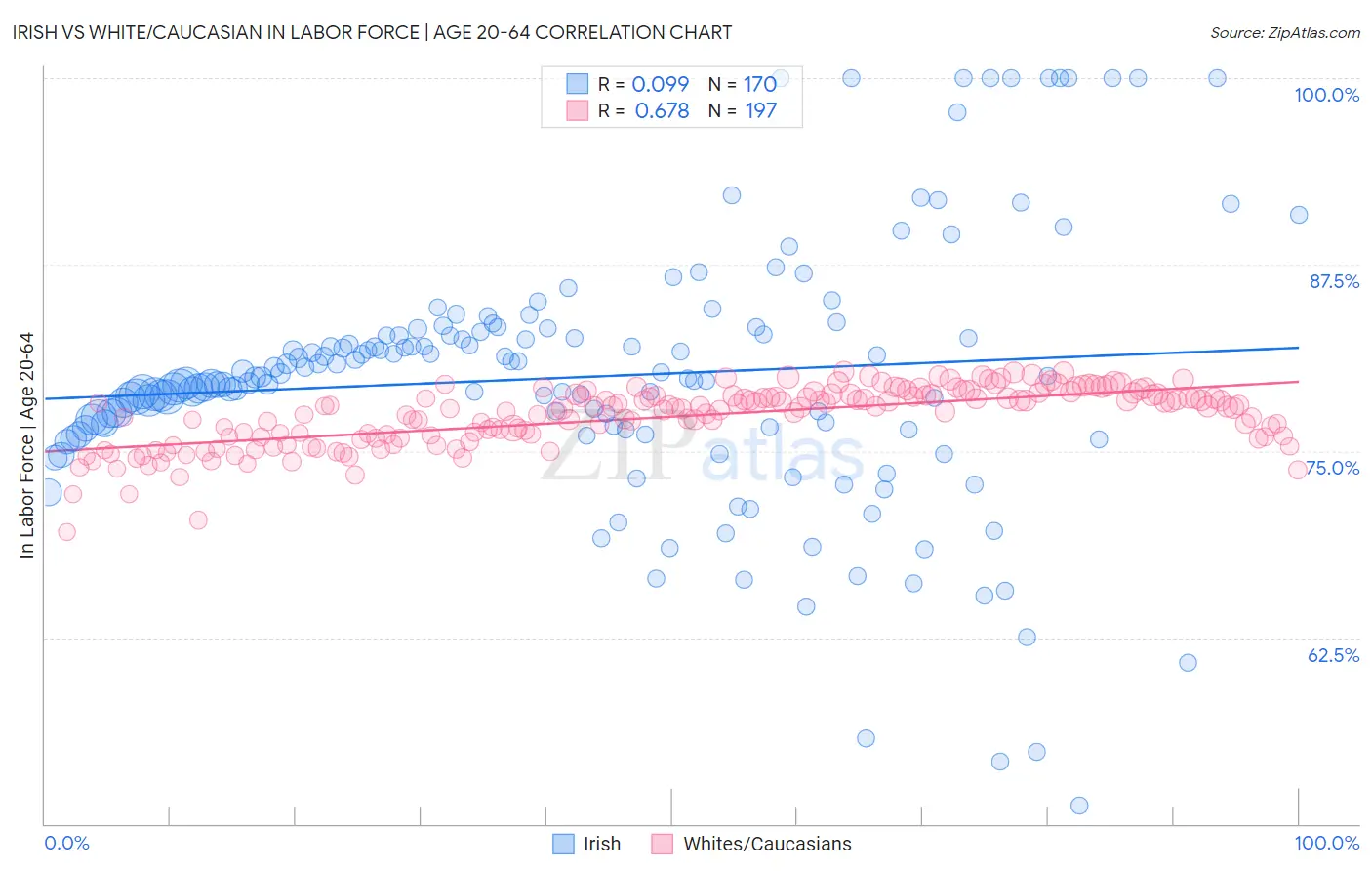 Irish vs White/Caucasian In Labor Force | Age 20-64
