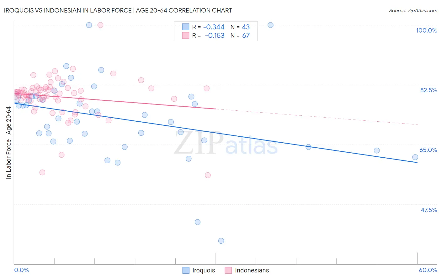 Iroquois vs Indonesian In Labor Force | Age 20-64
