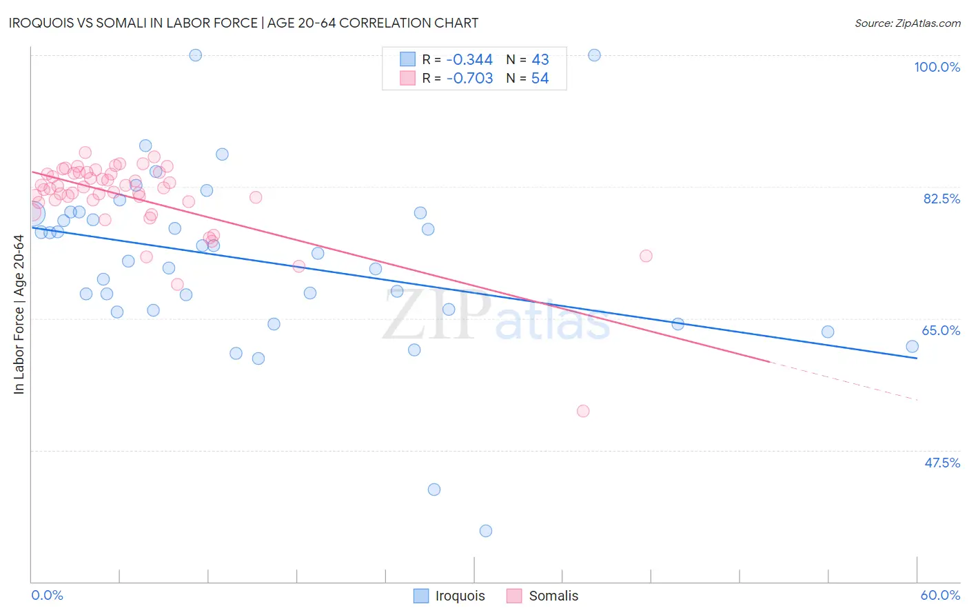 Iroquois vs Somali In Labor Force | Age 20-64