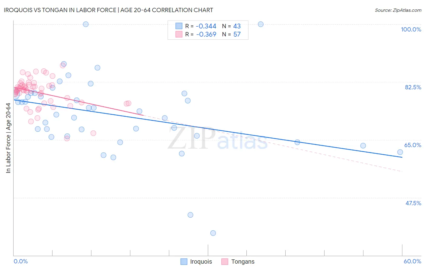 Iroquois vs Tongan In Labor Force | Age 20-64