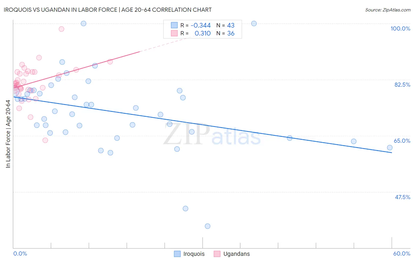 Iroquois vs Ugandan In Labor Force | Age 20-64