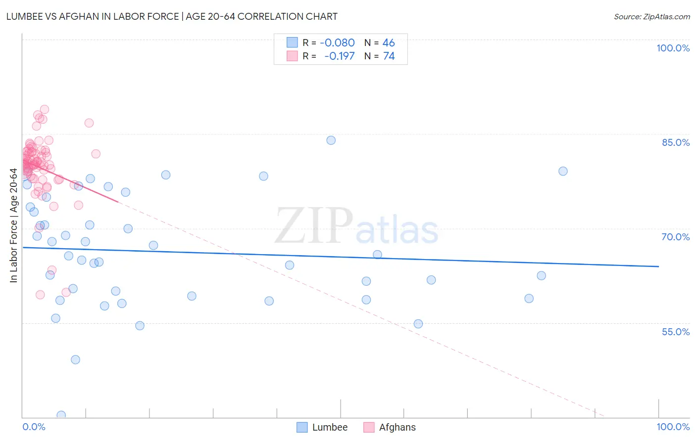 Lumbee vs Afghan In Labor Force | Age 20-64
