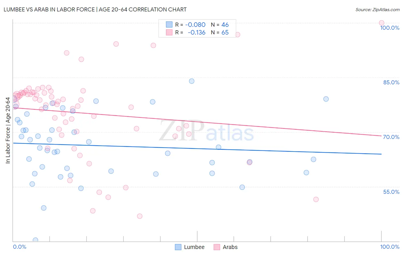 Lumbee vs Arab In Labor Force | Age 20-64