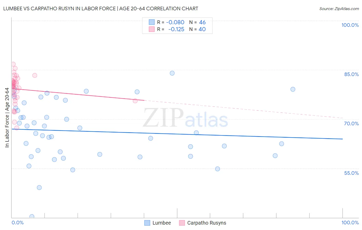 Lumbee vs Carpatho Rusyn In Labor Force | Age 20-64