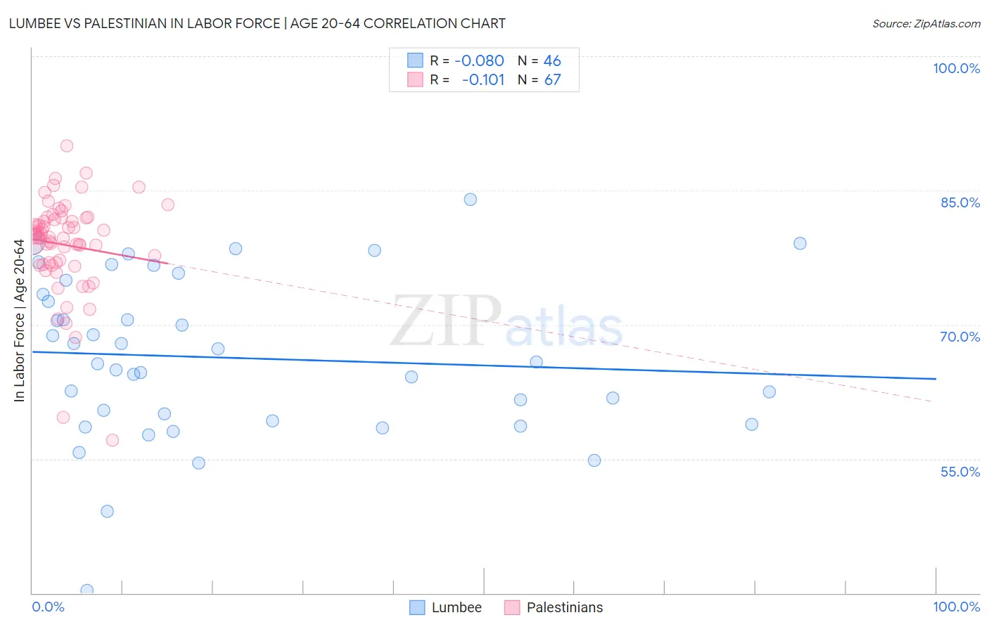 Lumbee vs Palestinian In Labor Force | Age 20-64