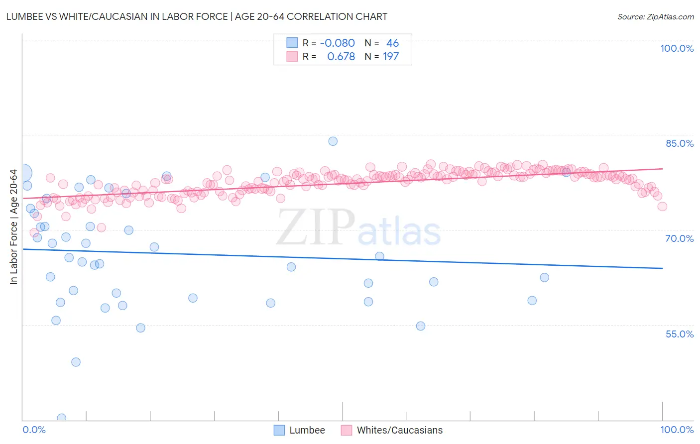 Lumbee vs White/Caucasian In Labor Force | Age 20-64